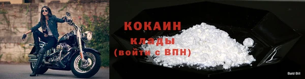 тгк Белокуриха